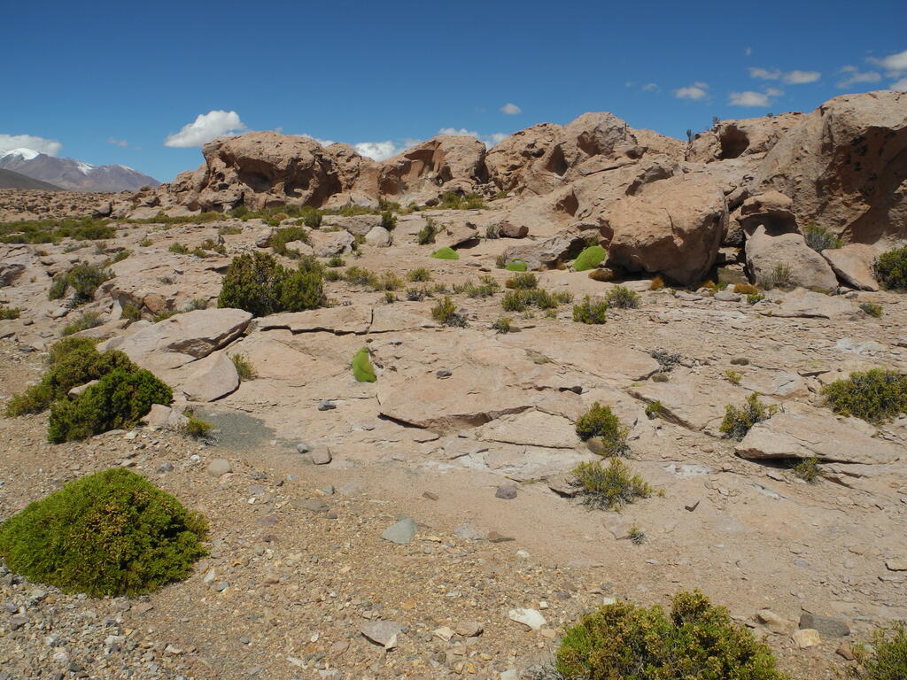 Gesteinsformationen neben der Straße