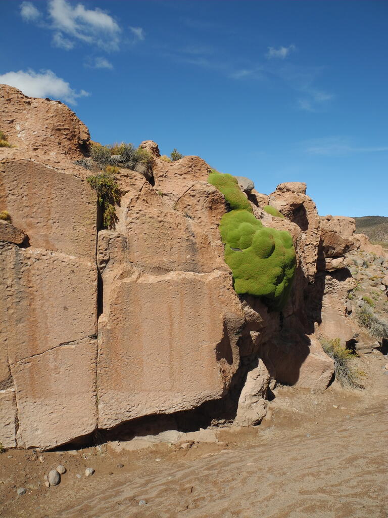 Felsen und Moos in der kleinen Schlucht