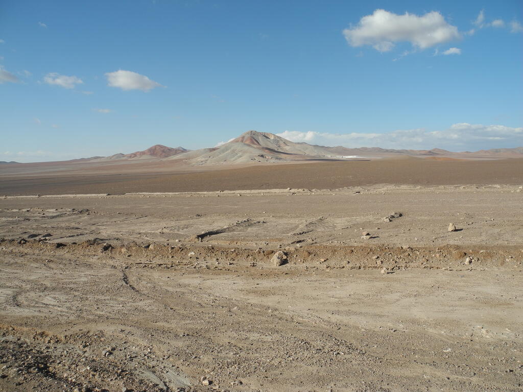 Mina Nancy in der Abendsonne