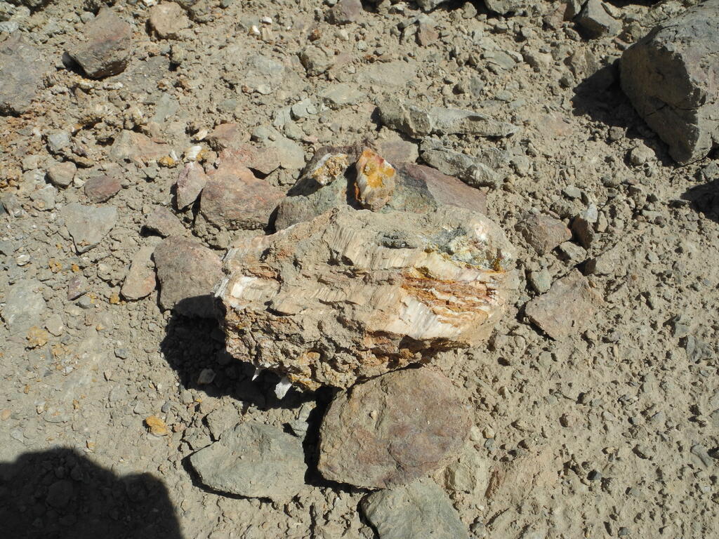 Probe mit Mineralen aus der Halde der Mina San Francisco