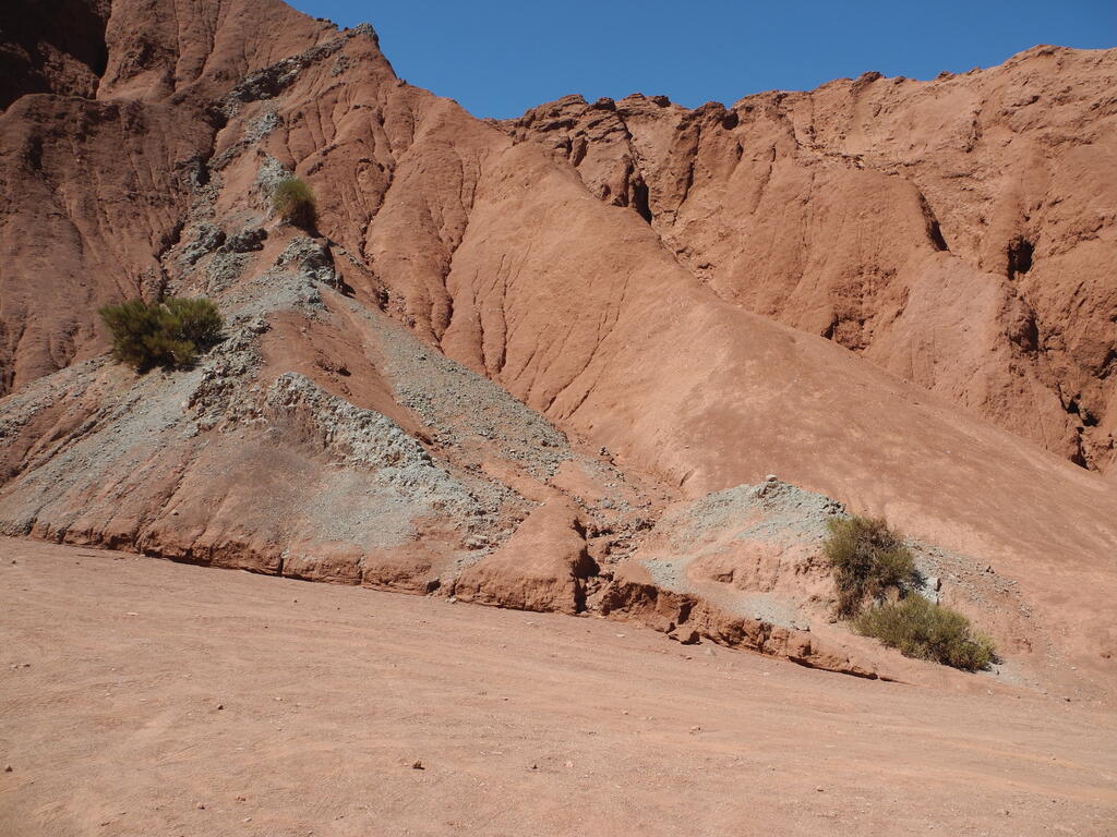 Dünne Gänge des intrudierten Gesteins in den Sedimenten