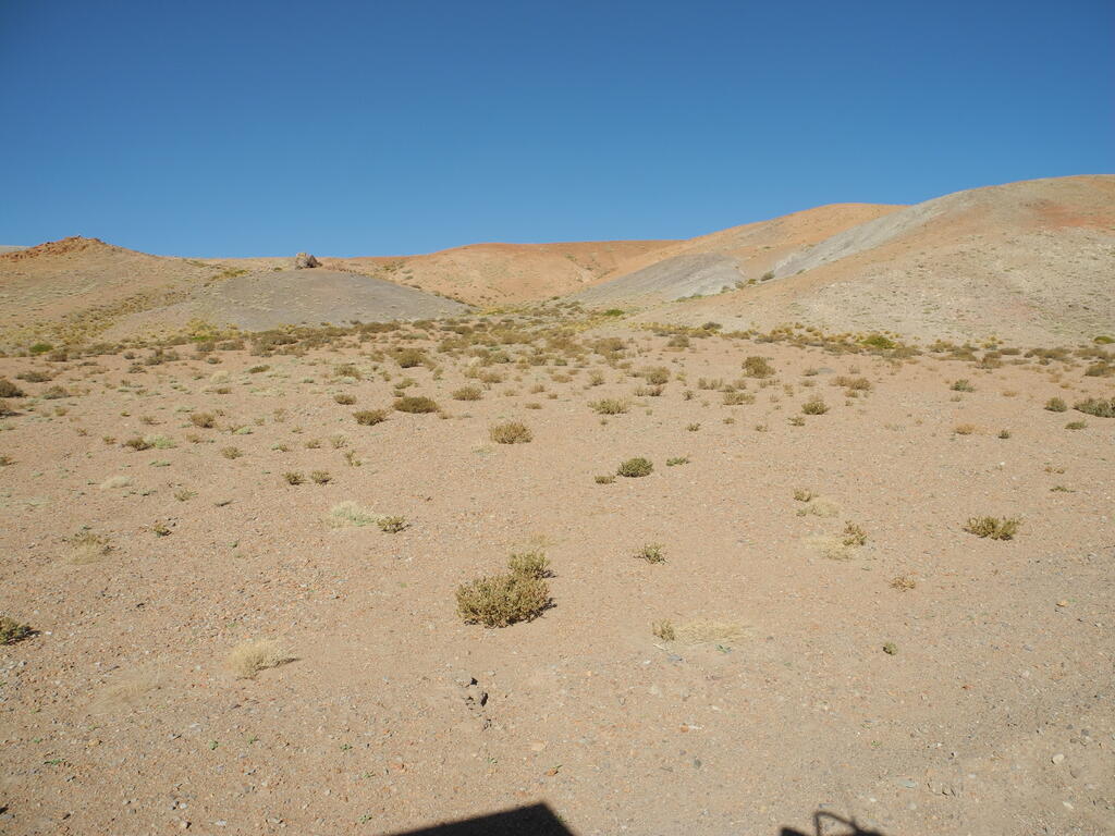 Landschaft an der Straße B-55