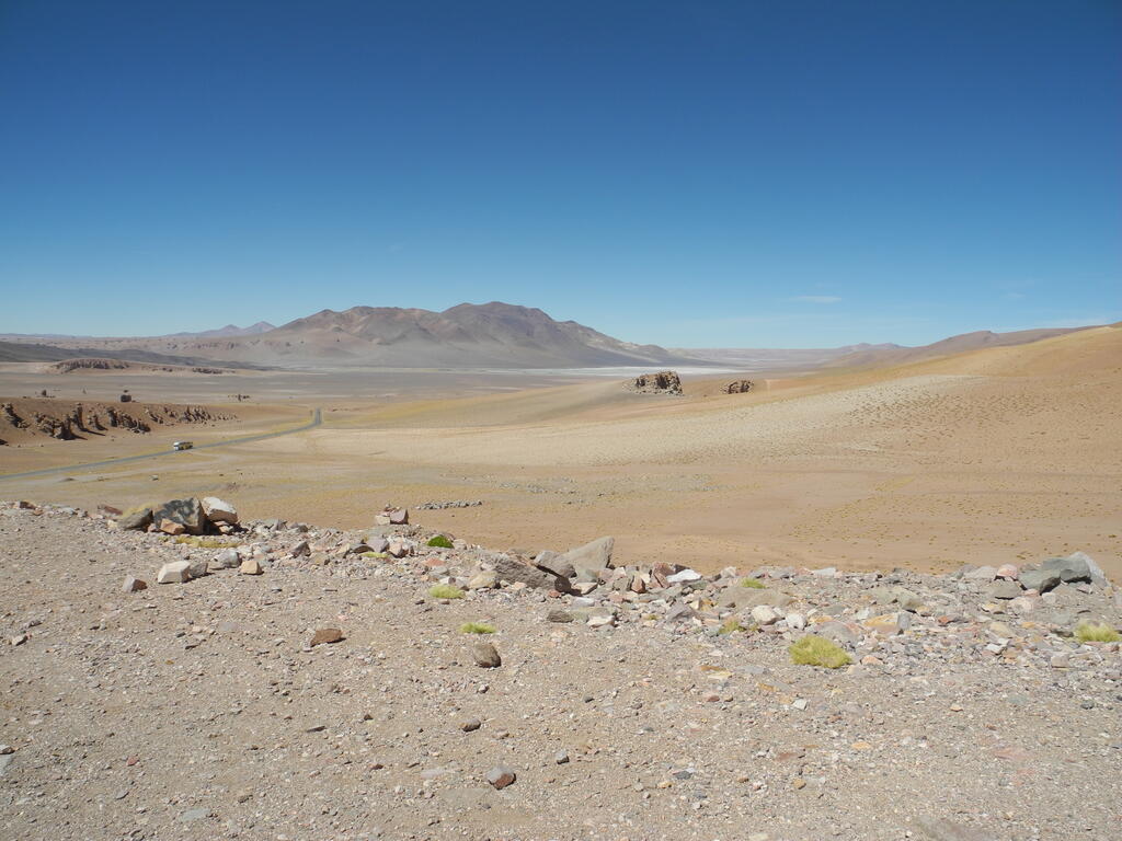 Salar de Tara