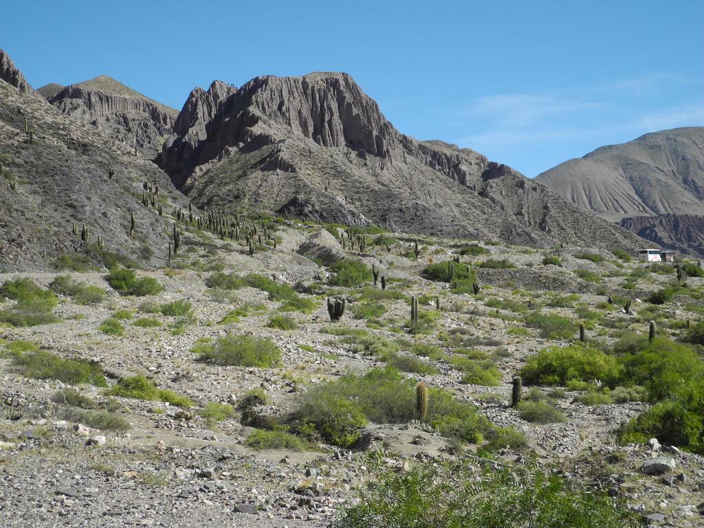 Kakteen und Erosion im Tal