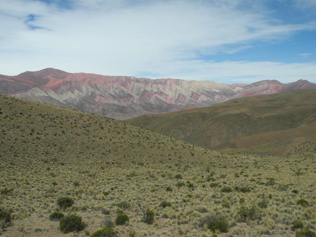 Die 14 Farben etwas später am Tag mit besserem Licht