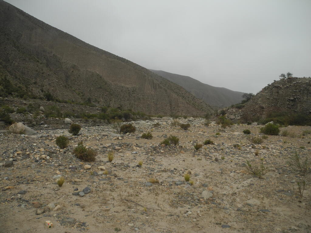 Das Tal nach Papachacra