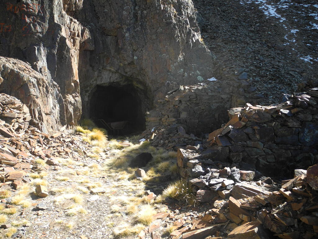 Stollen mit müdem Hund