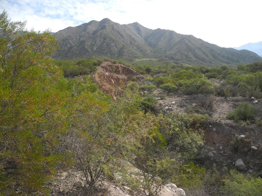 Nochmal der erste Tagebau von der anderen Seite